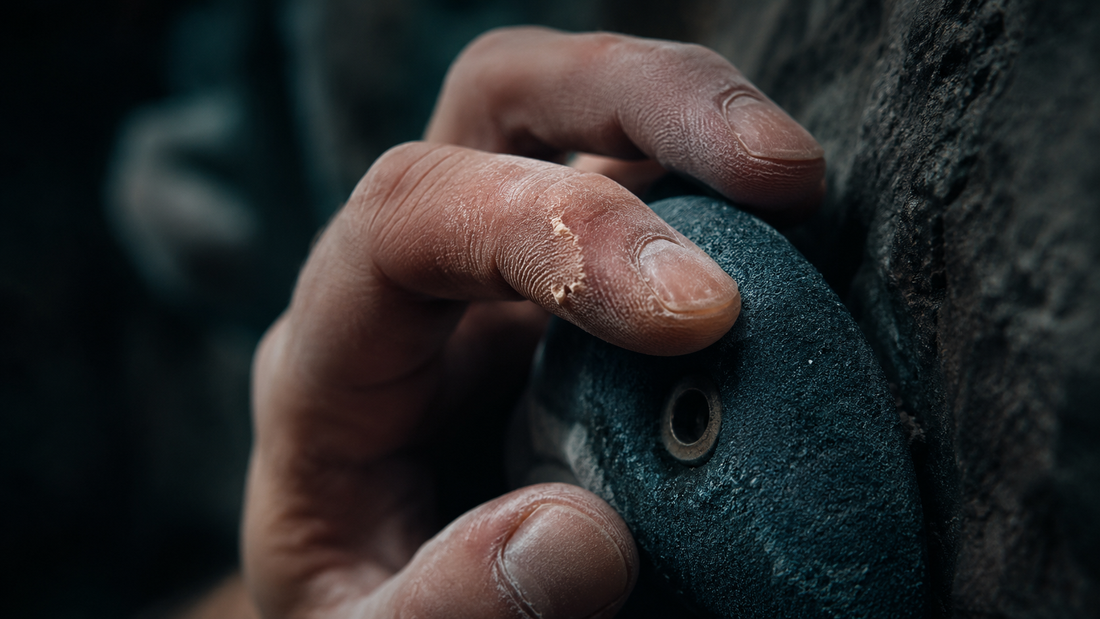 The Climber's Complete Guide
